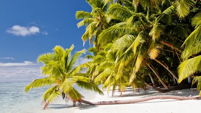 ماذا نعرف عن الجزر السرية التي تقف وراء الخلاف بين الولايات المتحدة والمملكة المتحدة؟