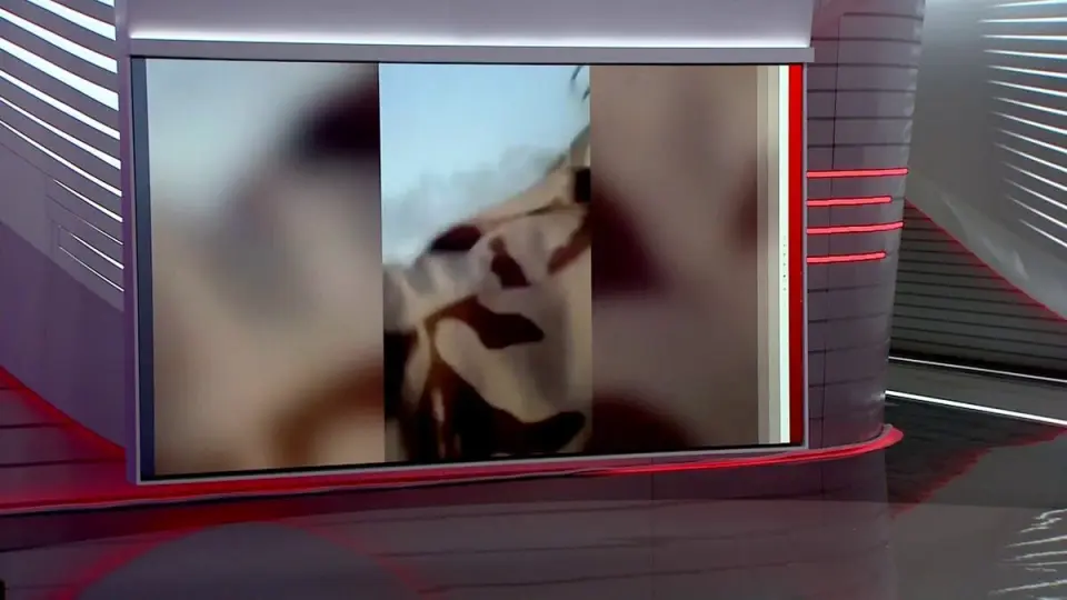 الحكومة التشادية تغلق الحدود مع السودان.. و"الدعم السريع" تقتل نجل زعيم عشيرة المحاميد