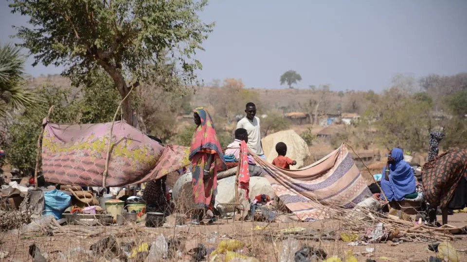 قصف مدفعي للدعم السريع على الدلنج جنوب كردفان